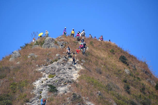 元荃古道行山